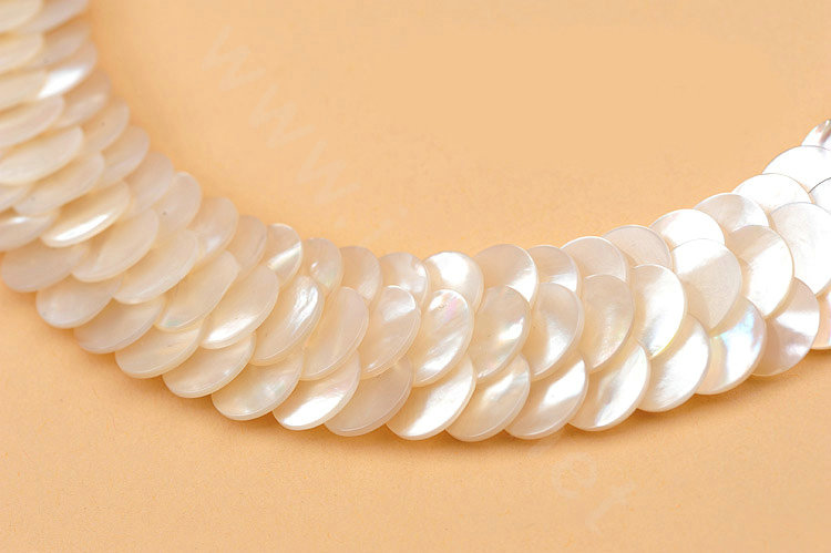 Luxury Fashion Women Exaggeration Choker Natural Shell Slice Bib Necklace Jewelry - White
