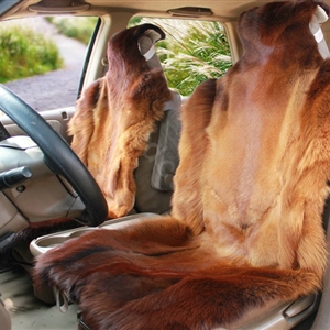 Universal KQ03 Australia Genuine Sheepskin Car Seat Cover Sheep Wool Auto Cushion 4pcs Sets - Brown