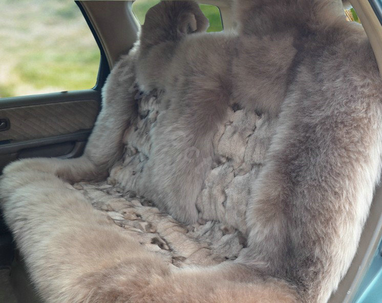 Universal KQ04 Australia Genuine Sheepskin Car Seat Cover Sheep Wool Auto Cushion 4pcs Sets - Bean Paste