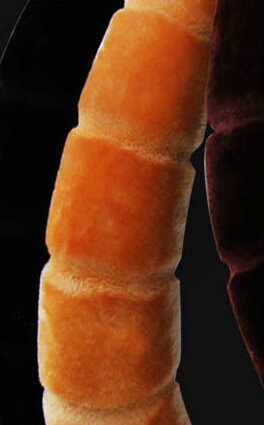 Fluffy Leopard Print Car Steering Wheel Wrap Velvet 15 Inch 38CM - Gold