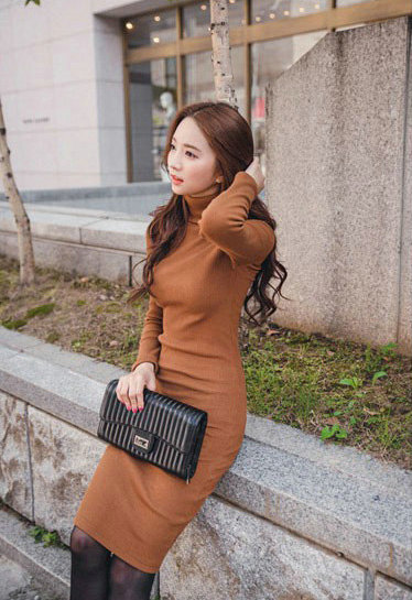 Autumn Winter Women Dresses Natural Knitting Knee-Length Sheath Turtleneck Full Sleeve - Camel
