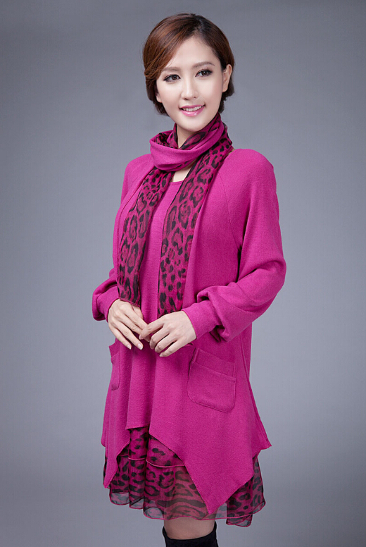 Fashion Dresses Winter Ladies Leopard Print Chiffon Plus Size Knitted - Rose