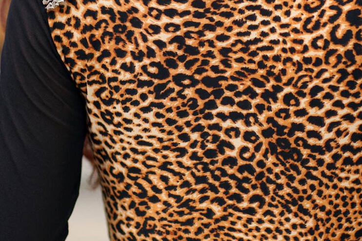 Sexy Dresses Fall Women Printed Long Sleeve Leopard Print Short - Coffee