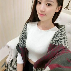 Funky Zebra Print Scarves Wrap Women Winter Warm Cashmere 200*63CM - Grey