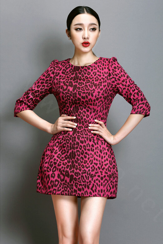 Classy Dresses Winter Ladies Short Skirts Leopard Print Five Sleeved - Rose