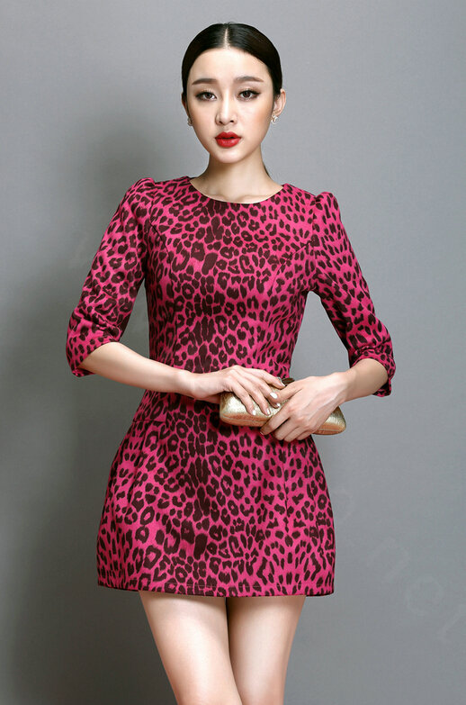 Classy Dresses Winter Ladies Short Skirts Leopard Print Five Sleeved - Rose