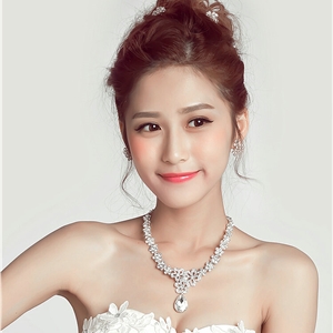 White Gold Plated Rhinestone Flower Bridal Necklace Earrings Women Wedding Jewelry Sets - Silver