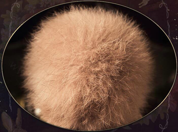 Luxury Women Diamond Crown Knitted Wool Hats Winter Large Fox Fur Pom Poms Caps - Camel