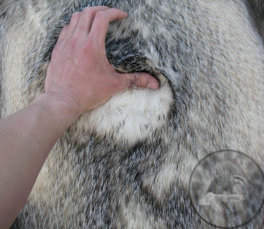 Hot Sales Badgers leather Car Seat Cushion Universal Auto Whole Fur Pads 1pcs - Brown