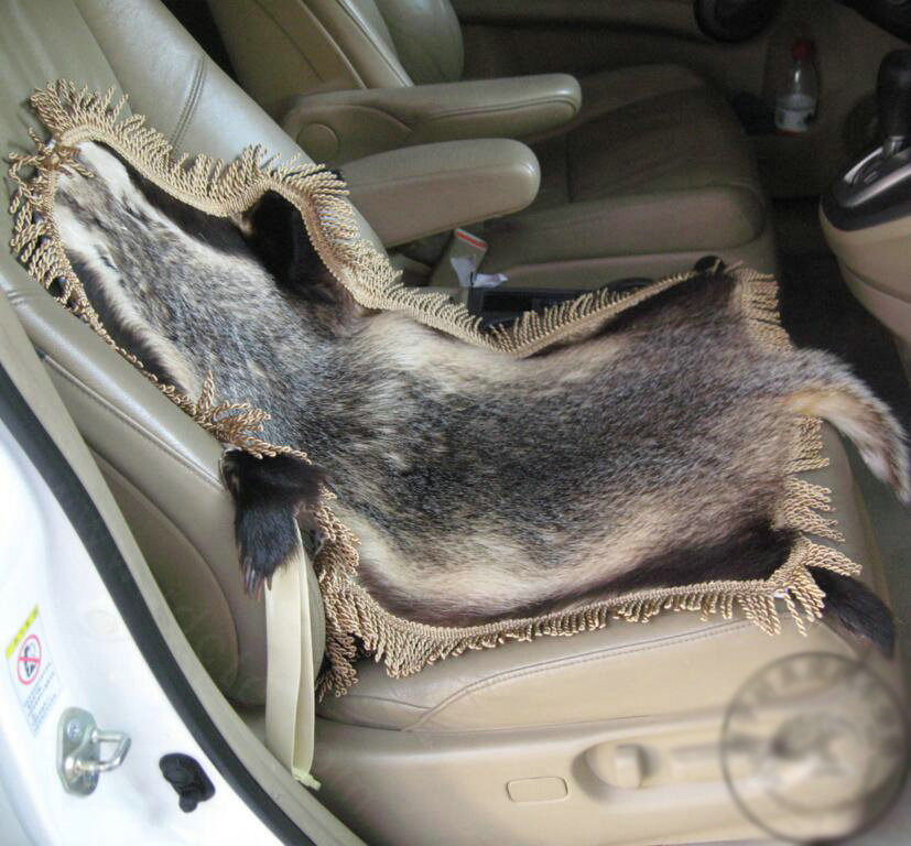 Luxury Badgers leather Car Seat Cushion Universal Auto Whole Fur Pads 1pcs - Brown