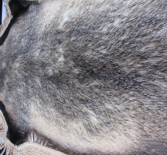 Luxury Badgers leather Car Seat Cushion Universal Auto Whole Fur Pads 1pcs - Brown