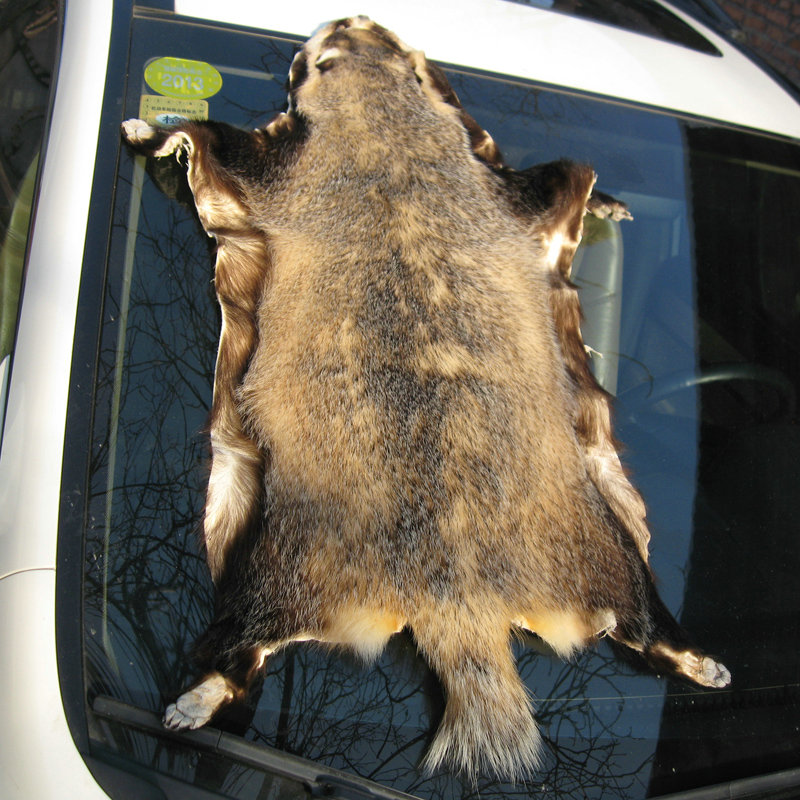 Luxury Badgers leather Car Seat Cushion Universal Auto Whole Fur Pads 1pcs - Nature Brown