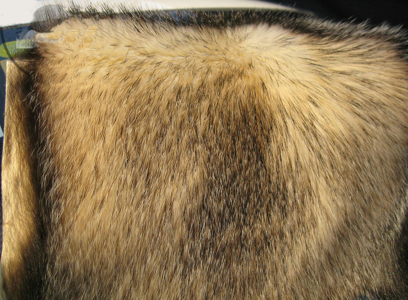 Luxury Badgers leather Car Seat Cushion Universal Auto Whole Fur Pads 1pcs - Nature Brown