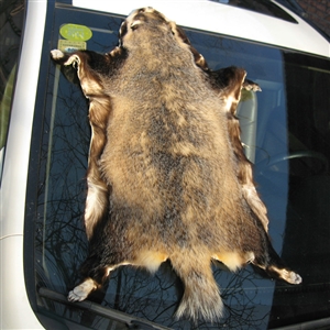 Luxury Badgers leather Car Seat Cushion Universal Auto Whole Fur Pads 1pcs - Nature Brown