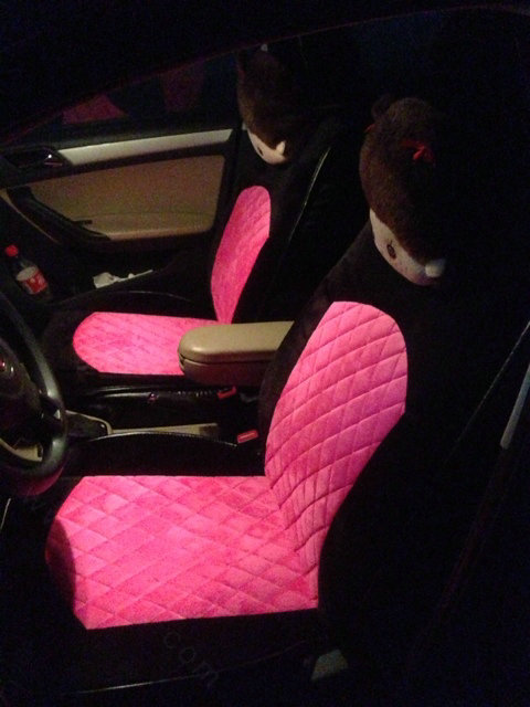 Soft Plush Car Seat Covers for Women Universal Winter Warm Seat Cushion 10pcs Sets - Black Rose