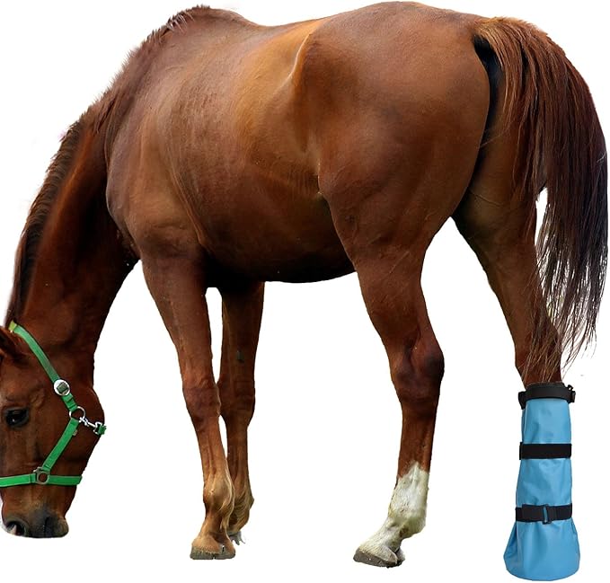 Adjustable Horse Leg Boots Breathable Mesh PVC Treatment Bag Treatment Bag With EVA Pad Reduce Damage Equestrian Gear - Blue