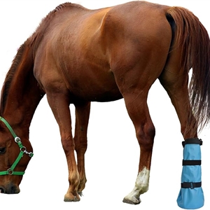 Adjustable Horse Leg Boots Breathable Mesh PVC Treatment Bag Treatment Bag With EVA Pad Reduce Damage Equestrian Gear - Blue