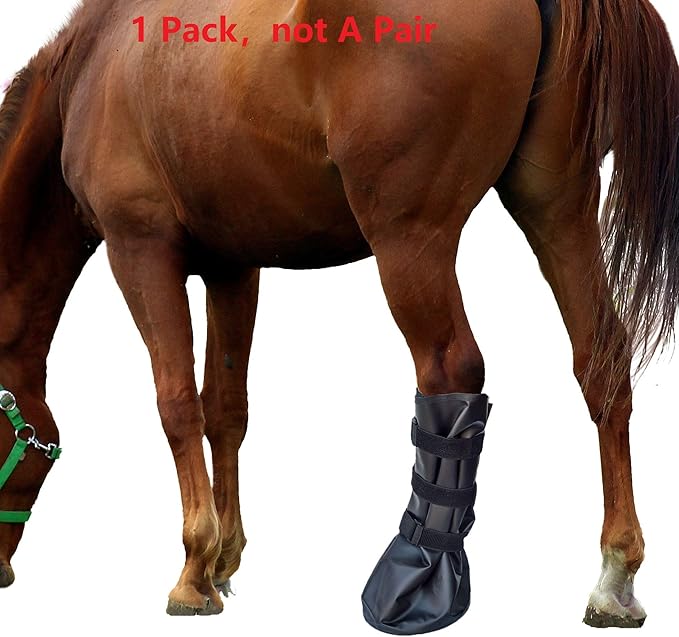 Adjustable Horse Leg Boots Breathable Mesh PVC Treatment Bag Treatment Bag With EVA Pad Reduce Damage Equestrian Gear - Black