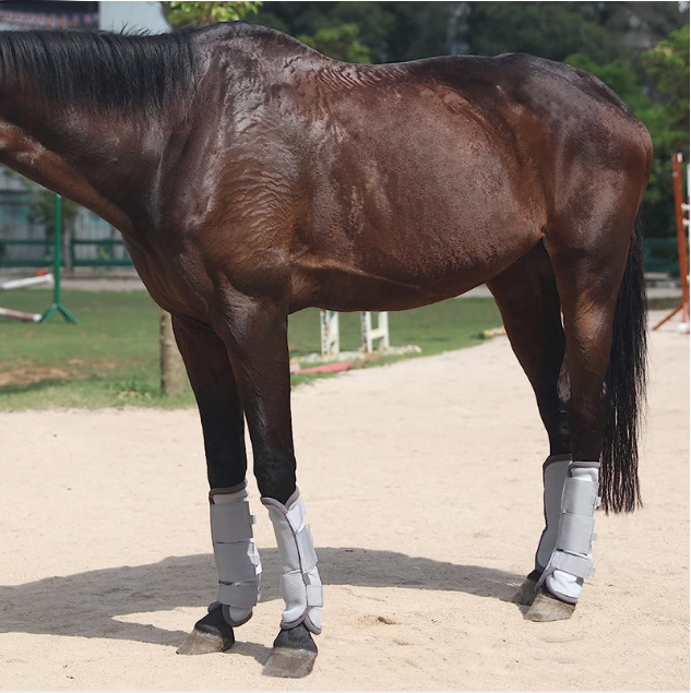 Adjustable Horse Leg Boots Breathable Neoprene Equine Guards Insect-Repellent Wraps Reduced Fatigue Equestrian Gear - Gray