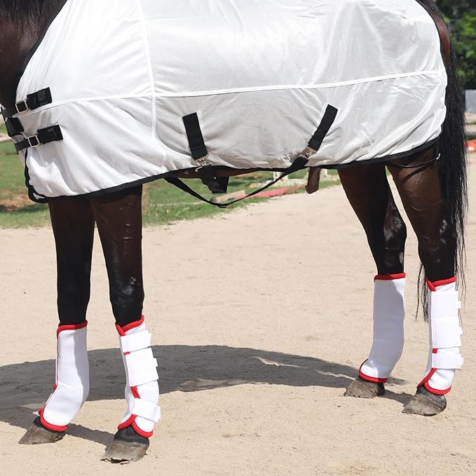 Adjustable Horse Leg Boots Breathable Neoprene Equine Guards Insect-Repellent Wraps Reduced Fatigue Equestrian Gear - Bule