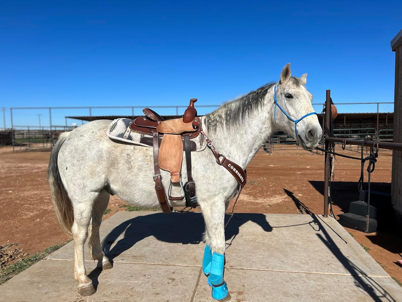 Adjustable Horse Leg Boots Breathable Sports Equine Guards Insect-Repellent Wraps Reduced Fatigue Equestrian Gear - Bule