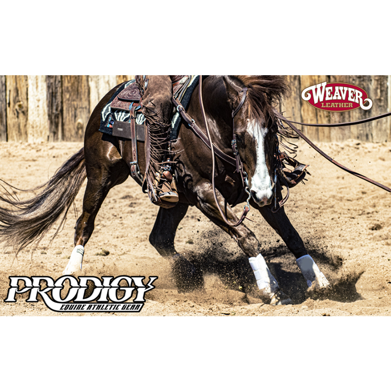 Adjustable Horse Leg Boots Breathable Sports Equine Guards Insect-Repellent Wraps Reduced Fatigue Equestrian Gear - Bule