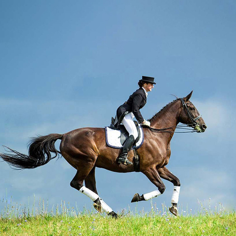 Adjustable Horse Leg Boots Harness Anticollision Neoprene Equine Guards Wraps Reduced Fatigue Equestrian Gear - Green