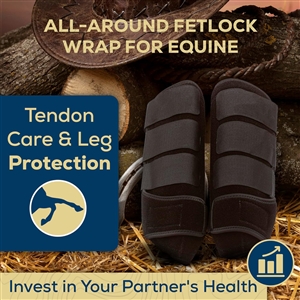 Adjustable Horse Leg Boots Harness Anticollision Neoprene Equine Guards Wraps Soft Shock-Absorbing Equestrian Gear - Black