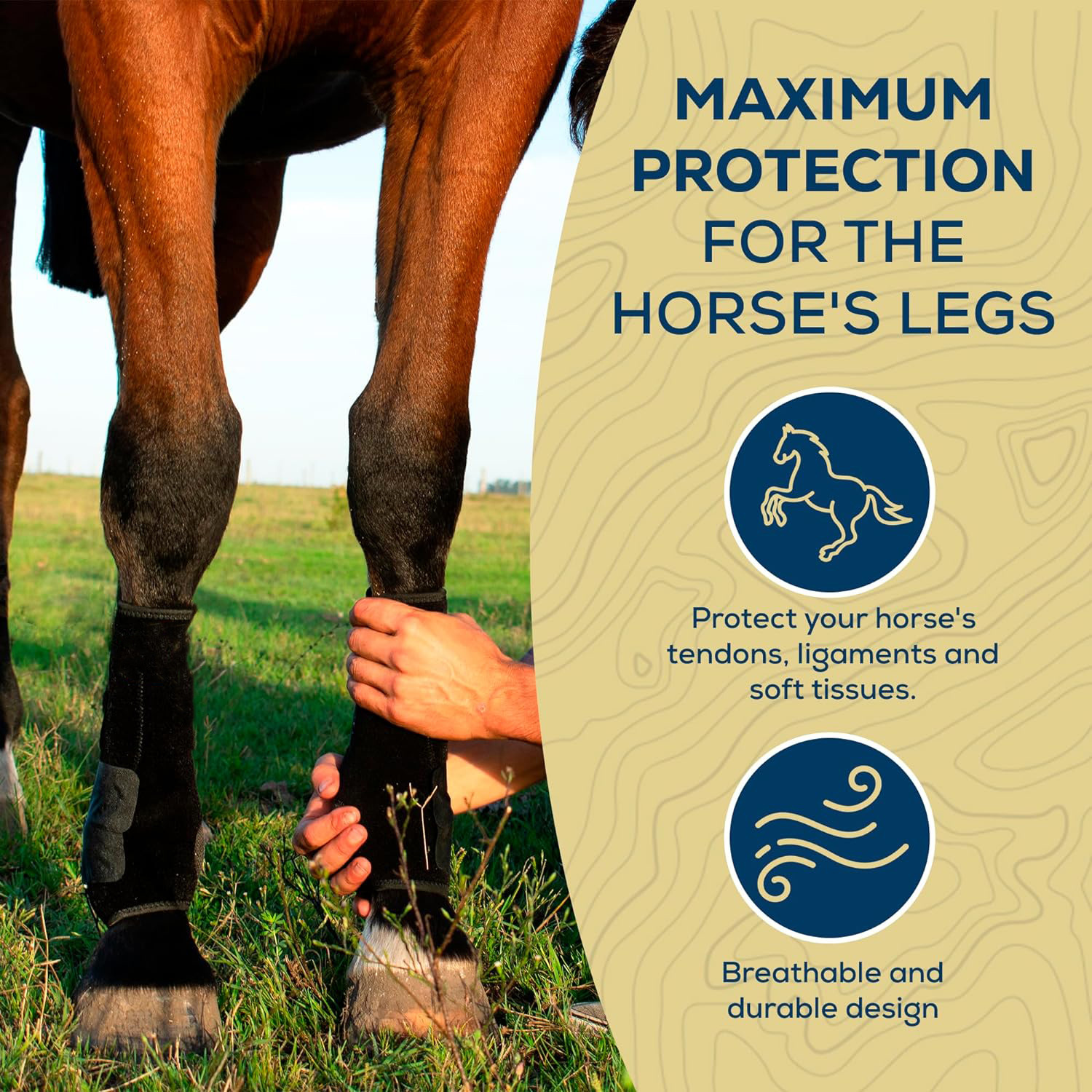 Adjustable Horse Leg Boots Harness Anticollision Neoprene Equine Guards Wraps Soft Shock-Absorbing Equestrian Gear - Black