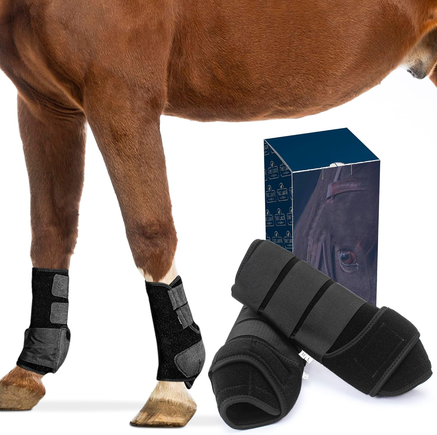 Adjustable Horse Leg Boots Harness Anticollision Neoprene Equine Guards Wraps Soft Shock-Absorbing Equestrian Gear - Black