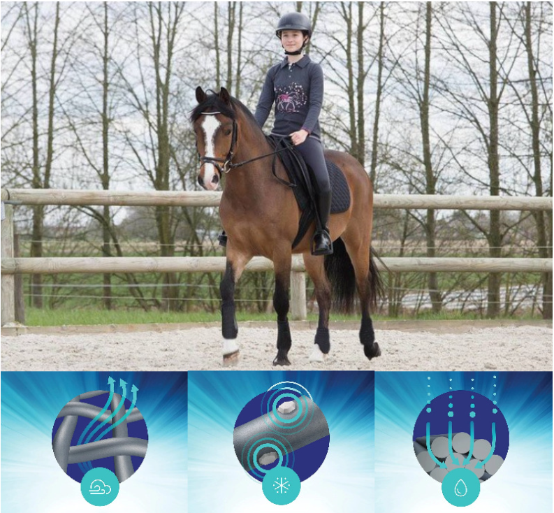 Adjustable Polyester Horse Leg Boots Harness Anticollision Neoprene Equine Guards Wraps Reduced Fatigue Equestrian Gear - Red