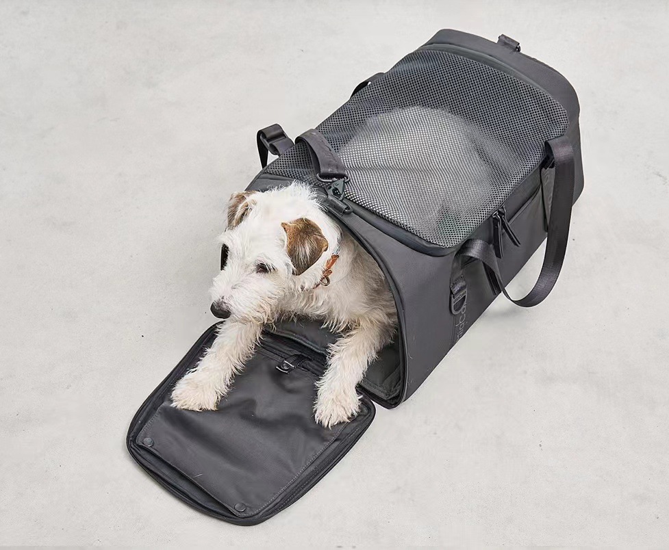 Airline Approved Pet Handbag Ventilate Durable Polyester Zipper Closure For Cats Dogs Large Capacity Bag Travel Outdoor - Blue