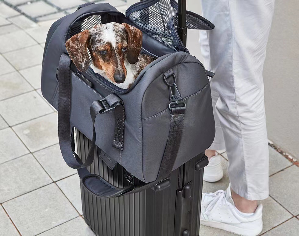 Airline Approved Pet Handbag Ventilate Durable Polyester Zipper Closure For Cats Dogs Large Capacity Bag Travel Outdoor - Blue