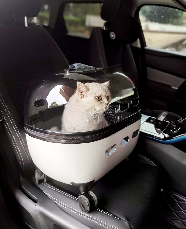 Draw Bar Box Trolley Foldable Pet Stroller Metal Breathable PC ABS Cats Dogs Bags Storage Basket Travel Outdoor Portable - Transparent