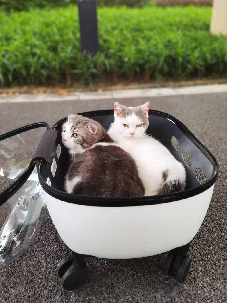 Draw Bar Box Trolley Foldable Pet Stroller Metal Breathable PC ABS Cats Dogs Bags Storage Basket Travel Outdoor Portable - Transparent