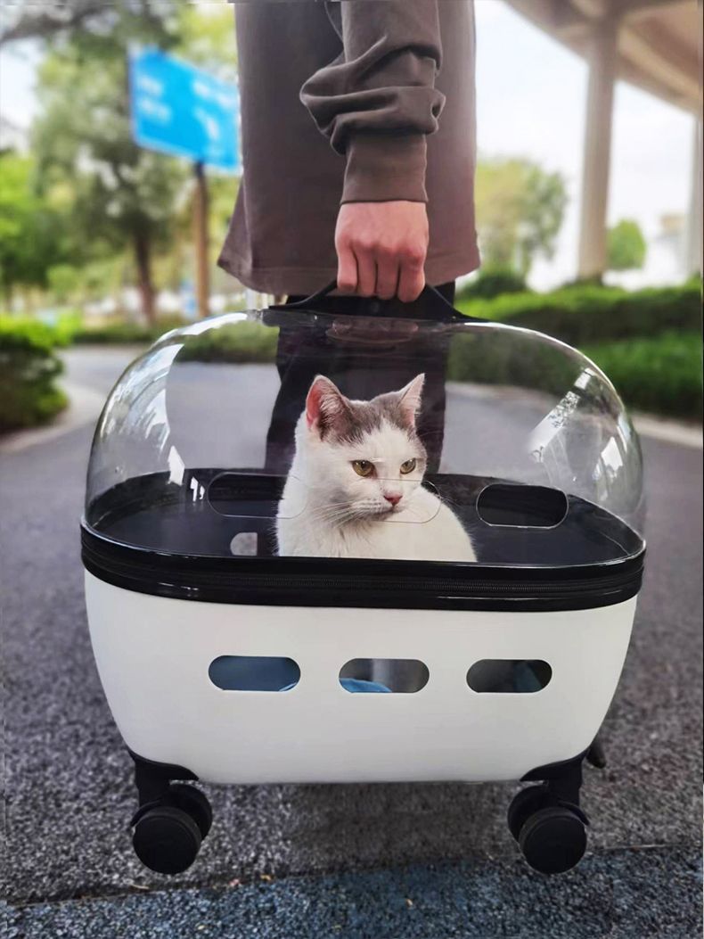 Draw Bar Box Trolley Foldable Pet Stroller Metal Breathable PC ABS Cats Dogs Bags Storage Basket Travel Outdoor Portable - Transparent