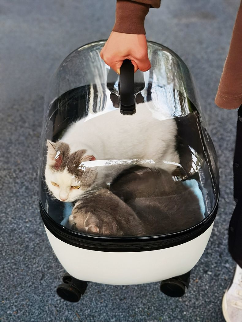 Draw Bar Box Trolley Foldable Pet Stroller Metal Breathable PC ABS Cats Dogs Bags Storage Basket Travel Outdoor Portable - Transparent