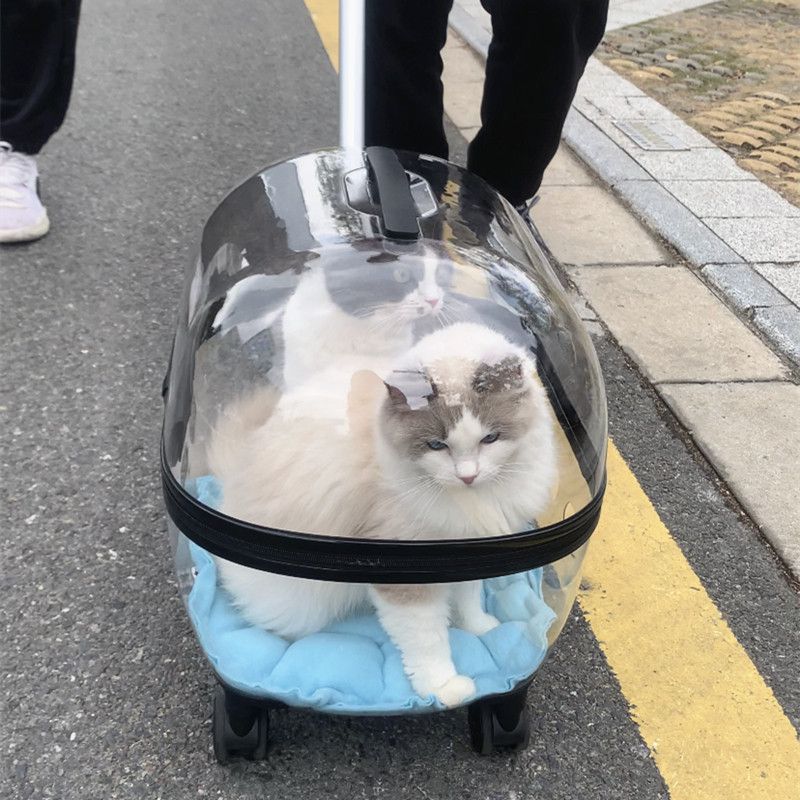 Draw Bar Box Trolley Foldable Pet Stroller Metal Breathable PC ABS Cats Dogs Bags Storage Basket Travel Outdoor Portable - Transparent