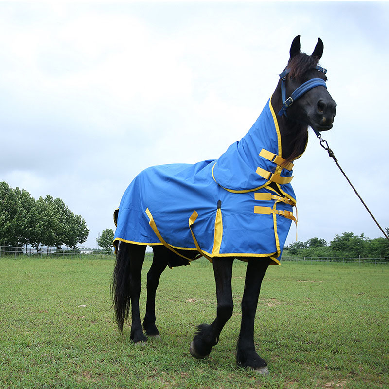 Factory Direct Polyester Horse Care Blanket Detachable Neck Cover Winter Warmth Equestrian Gear With Comfort Waterproof - Navy Blue