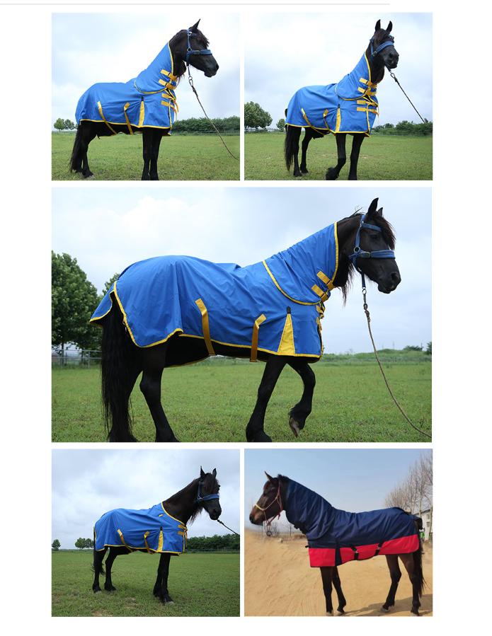 Factory Direct Polyester Horse Care Blanket Detachable Neck Cover Winter Warmth Equestrian Gear With Comfort Waterproof - Navy Blue
