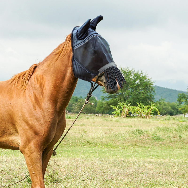 Fringes Polyester Mosquito Repellent Summer Breathable Horse Fly Mask With Ears And Nose Cover Comfortable Mesh Ride Horse Supplies - Black