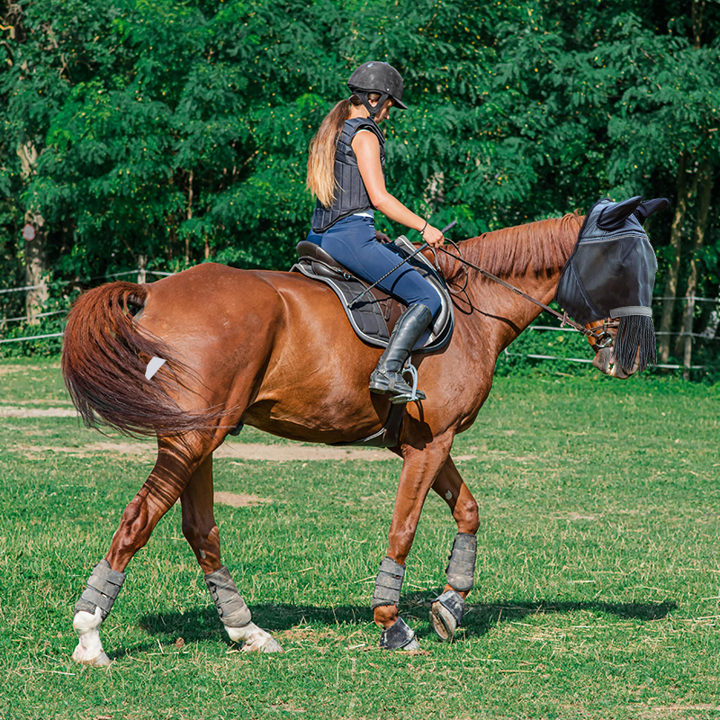 Fringes Polyester Mosquito Repellent Summer Breathable Horse Fly Mask With Ears And Nose Cover Comfortable Mesh Ride Horse Supplies - Black