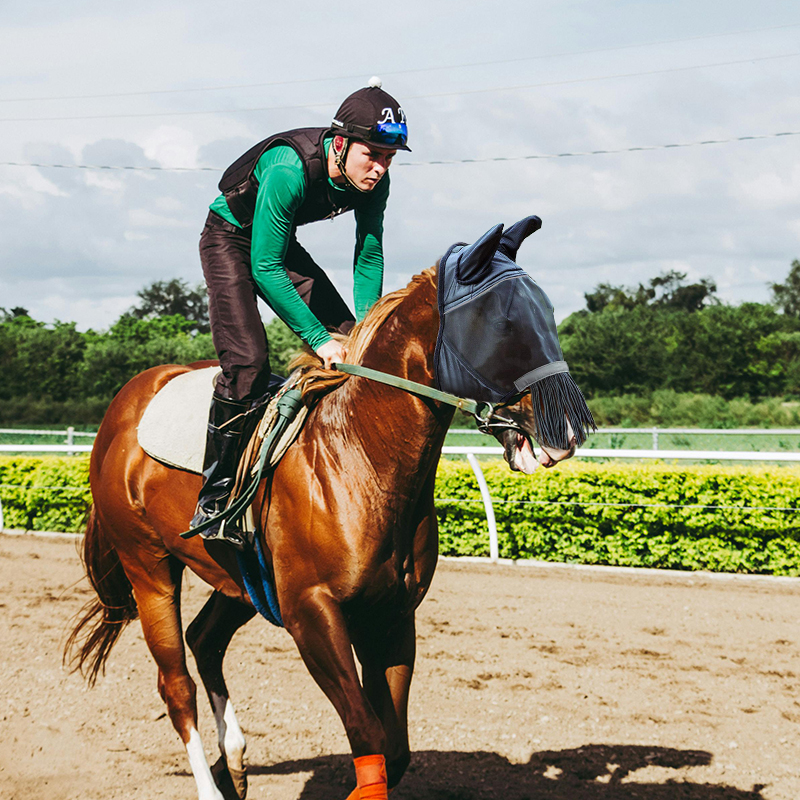 Fringes Polyester Mosquito Repellent Summer Breathable Horse Fly Mask With Ears And Nose Cover Comfortable Mesh Ride Horse Supplies - Black