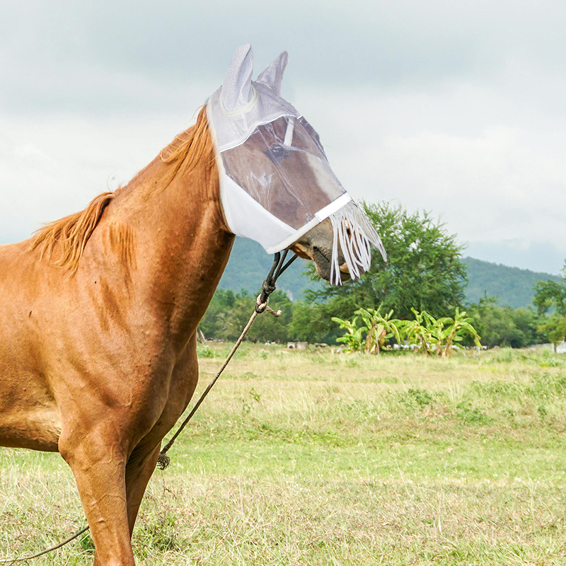 Fringes Polyester Mosquito Repellent Summer Breathable Horse Fly Mask With Ears And Nose Cover Comfortable Mesh Ride Horse Supplies - White