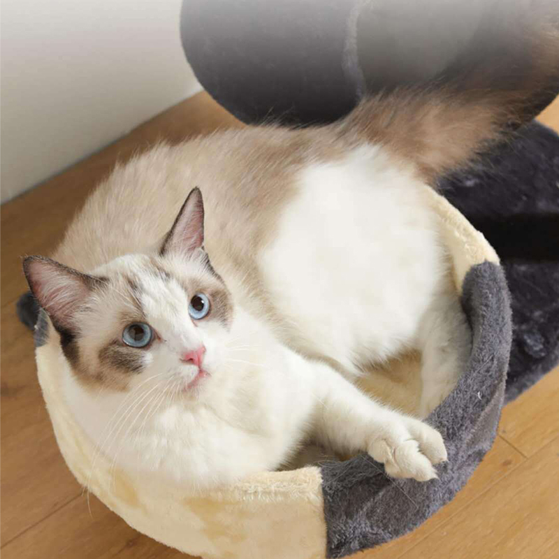 Fun Cat Products House Towers Cat Rubbing Post Climbing Tree Cat Condo Scratching Post Climbing Kitten Bed Climbing Shelf - Brown