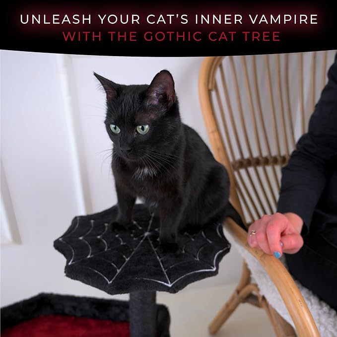 Halloween Bat Cat Tower Big Cats Climbing Tree Cat Condo Scratching Post Two Level Large Cat Climbing Cat Toy - Black