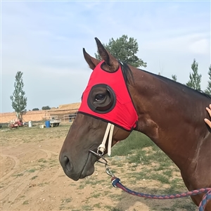 Horse Eye Protection Hood Shatterproof UV Protection Flexible Lens For Corneal Ulcers Eye Injuries Compatible Horse Fly Mask - Red