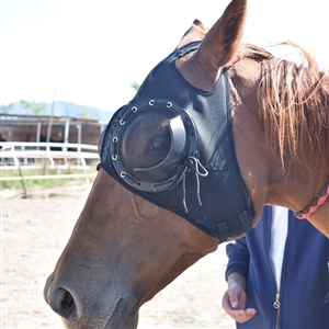Horse Eye Protection Hood Shatterproof Windproof Sand Prevention Flexible Lens Corneal Ulcers Eye Injuries Horse Fly Mask - Mesh Black