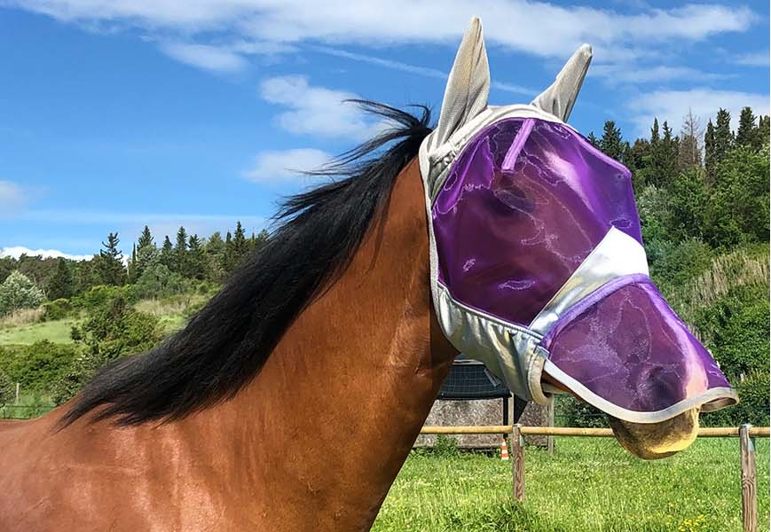 Long Nose Polyester Mosquito Repellent Summer Breathable Horse Fly Mask Best Mesh Ride Horse Supplies - Black