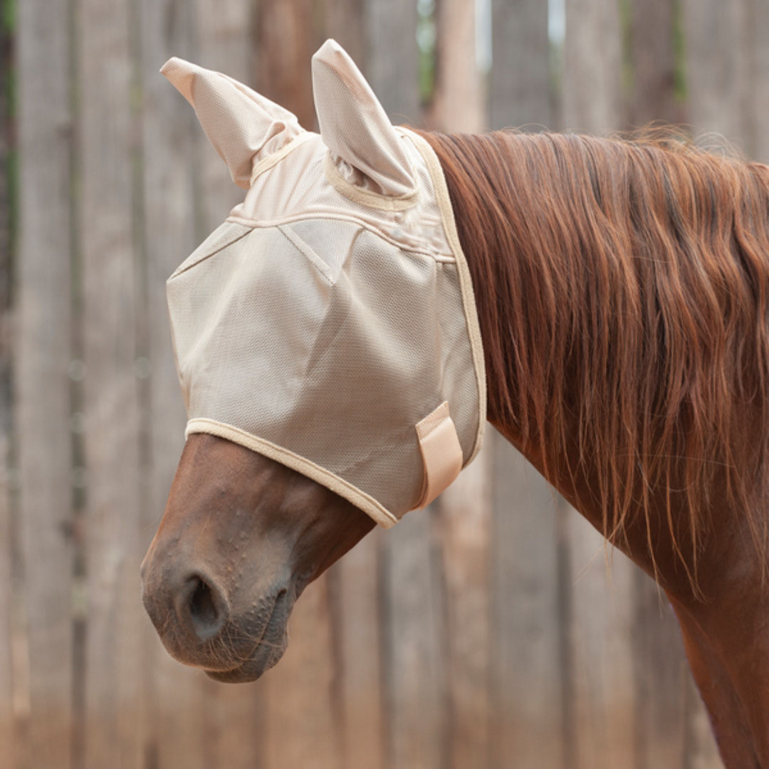 Lycra Mosquito Repellent Summer Breathable Horse Fly Mask With Ears And Nose Cover Rugged Ride Horse Supplies - Black